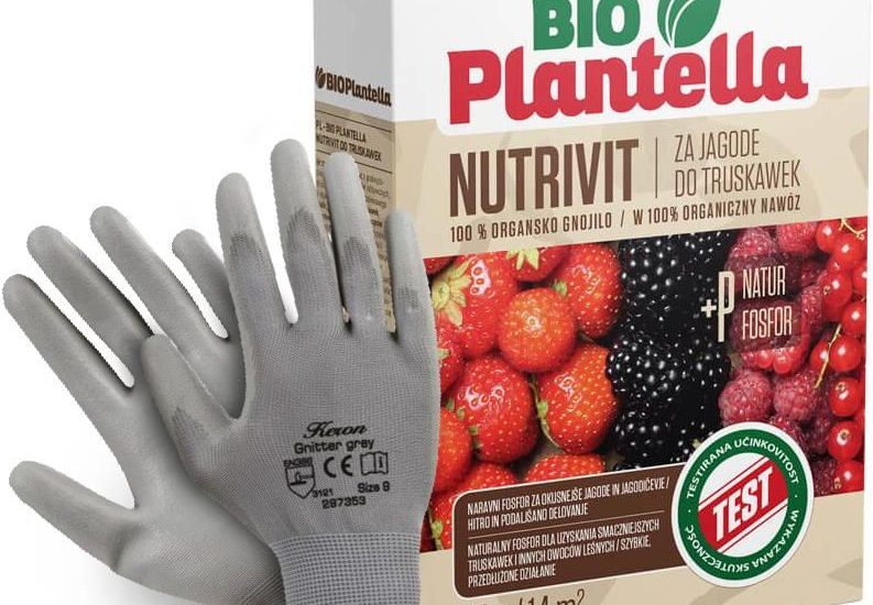 Nawóz Do Truskawek Malin Jeżyn 1Kg. Naturalny Nawóz Organiczny Bio Plantella.