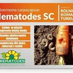 Nematodes Sc 25 Mln Nicienie Na Rolnice Turkucia