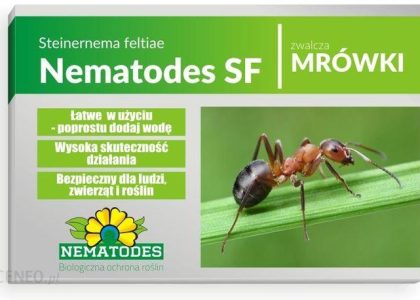 Nematodes Sf 50 Mln Nicienie Na Mrówki 100 Mrowisk