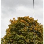 Odstraszacz Ptaków Latawiec Strach Na Wróble 120Cm