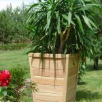 Ogrodosfera Donica Alice Modrzew 550 X 700
