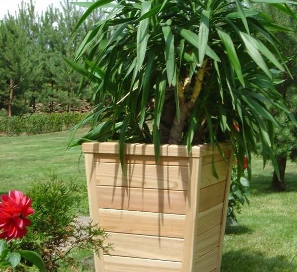 Ogrodosfera Donica Alice Modrzew 550 X 700