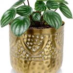 Osłonka Doniczka Metalowa Złota 14X14,5cm