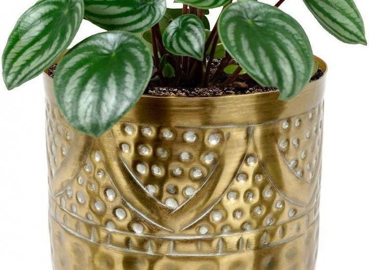Osłonka Doniczka Metalowa Złota 14X14,5cm
