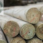 paliki toczone (palisada) świeże długość 2,50 mb, średnica 9 cm