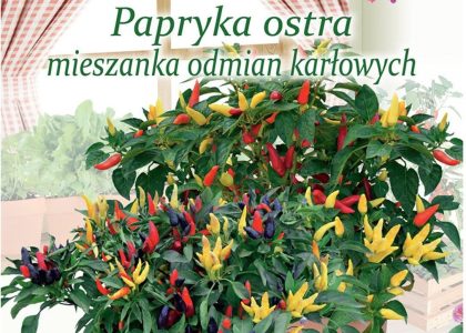 Papryka Ostramka odmiana karłowata 0,50g