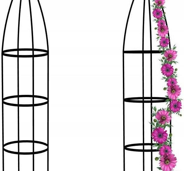 Pergola Kolumnowa Podpora Do Kwiatów Roślin Pnaczy