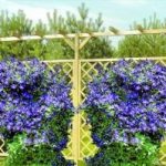 Pergola Podwójna 2400x4500x600