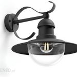 Philips Kinkiet Zewnętrzny Topiary E27 Czarny