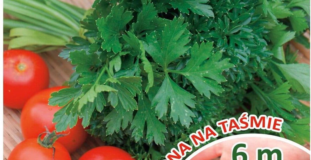 Pietruszka Mieszanka Odmian Taśma