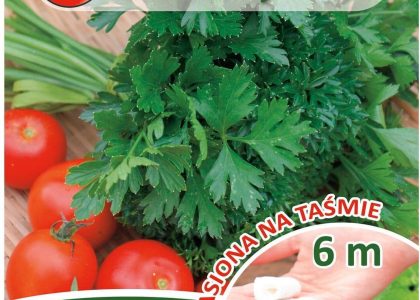 Pietruszka Mieszanka Odmian Taśma