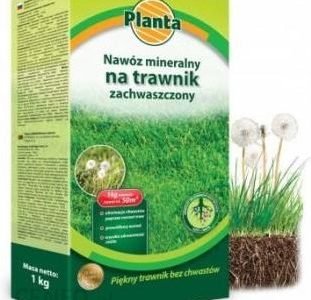 Planta Nawóz Mineralny Do Trawy Zachwaszczonej Wiosenny 1Kg PLA974557ALL
