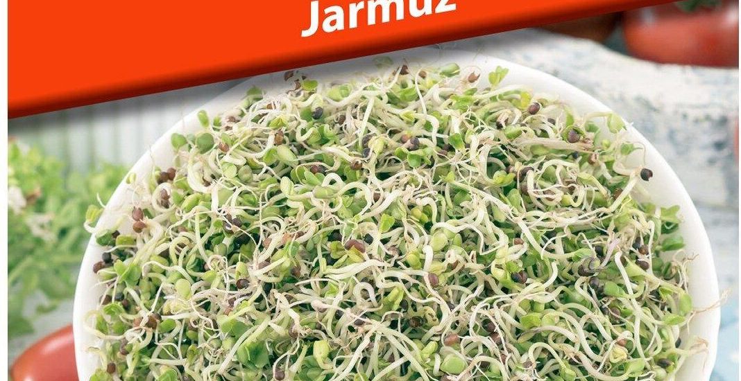 Plantico Nasiona Na Kiełki Jarmuż