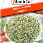 Plantico Nasiona Na Kiełki Jarmuż