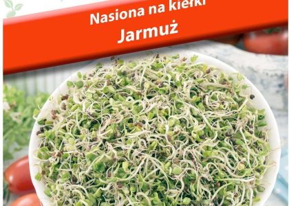 Plantico Nasiona Na Kiełki Jarmuż