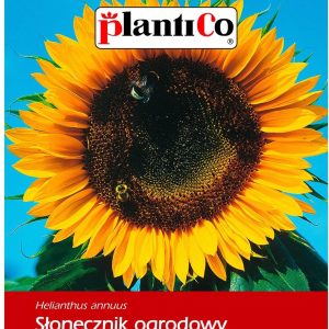Plantico Słonecznik Jadalny