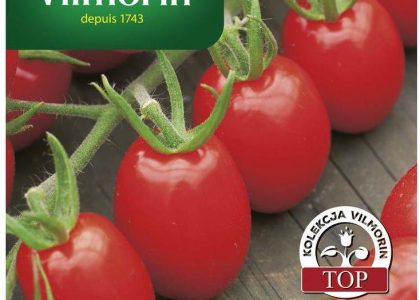 Pomidor Koktajlowy Wysoki Tutti Frutti Nasiona Tradycyjne 7Szt. Vilmorin