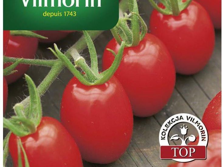 Pomidor Koktajlowy Wysoki Tutti Frutti Nasiona Tradycyjne 7Szt. Vilmorin