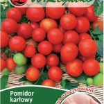 Pomidor Maskotka Otoczkowany