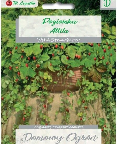 Poziomka Atilla 0,1G