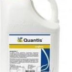 Quantis 10L