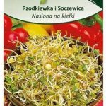 Rzodkiewka Nasiona Na Kiełki 20g W. Legutko