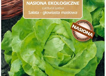 Sałata Masłowa Bio