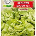 Sałata Masłowa Królowa Majowych Nasiona 2G Toraf