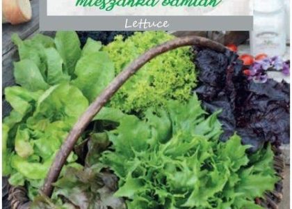 Sałata Patio Mieszanka Odmian 1G