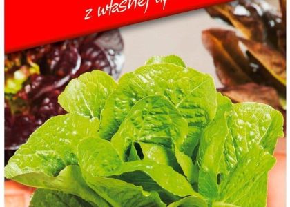 Sałata Rzymska Mini Ogród