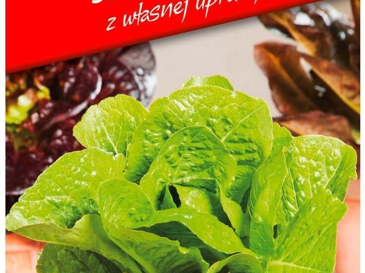 Sałata Rzymska Mini Ogród