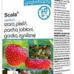 Scala 100 Ml Sumin