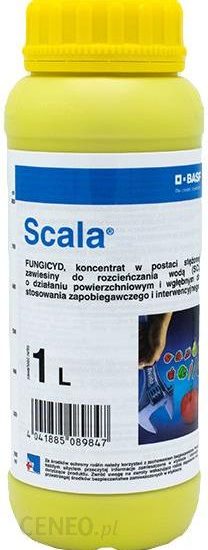 Scala 1L Nowy Fungicyd