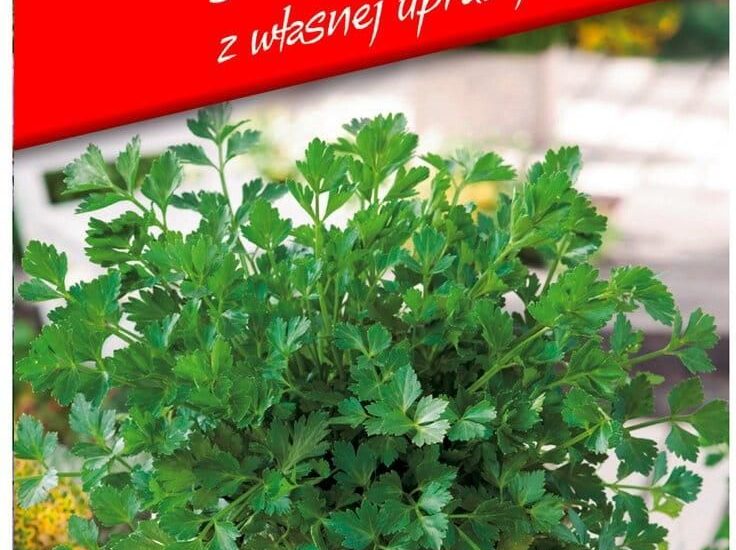 Seler Listkowy Mini Ogród