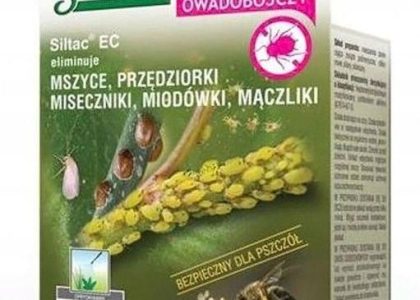 Siltac Ec 5Ml Owady Przędziorki Miseczniki Mszyce