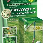 Starane Trawnik 260 Ew 20 Ml Agrecol Chwasty