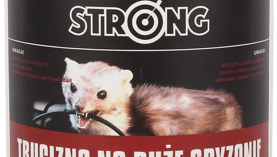 Strong Trucizna na Duże Gryzonie Kuny trutka 20szt
