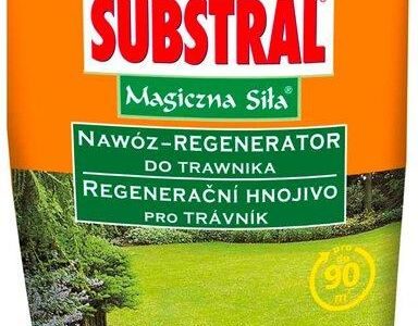 Substral Magiczna Siła Nawóz Regenerator Do Trawnika 350 G