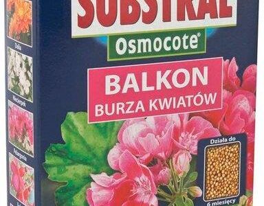 Substral Osmocote Burza Kwiatów 300g