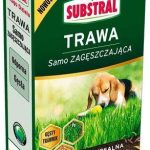 Substral Trawa Samo Zagęszczająca Uniwersalna 1 Kg