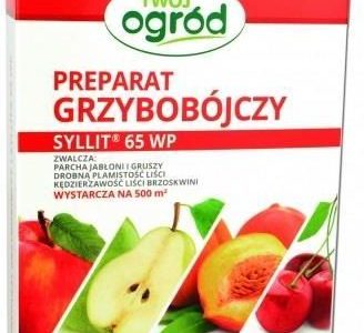 Syllit 65 WP 45g