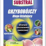 Syllit 65 Wp 45G Substral
