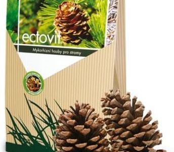 Symbiom Mikoryza Ectovit Do Iglaków 300G