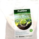 Symbioz Prolione 1Kg
