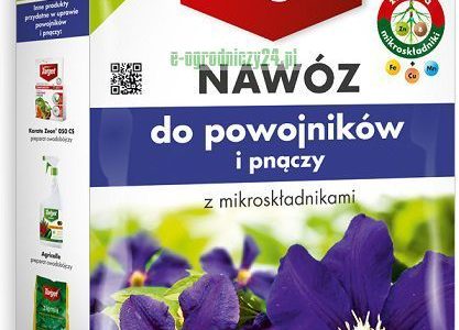 Target Nawóz do Powojników 1Kg
