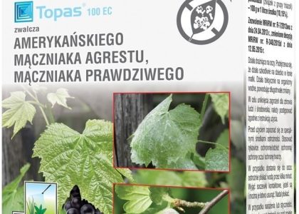 Topas 100 Ec 20ml Sumin