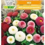 Toraf Stokrotka Pomponowa Mix 0,2 G