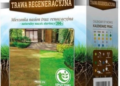 Trawa Mieszanka Renowacyjna 0,5kg