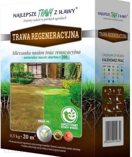 Trawa Mieszanka Renowacyjna 0,5kg