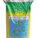 Trawa Sportowa Z Iławy Trawnik Boiskowa 25KG